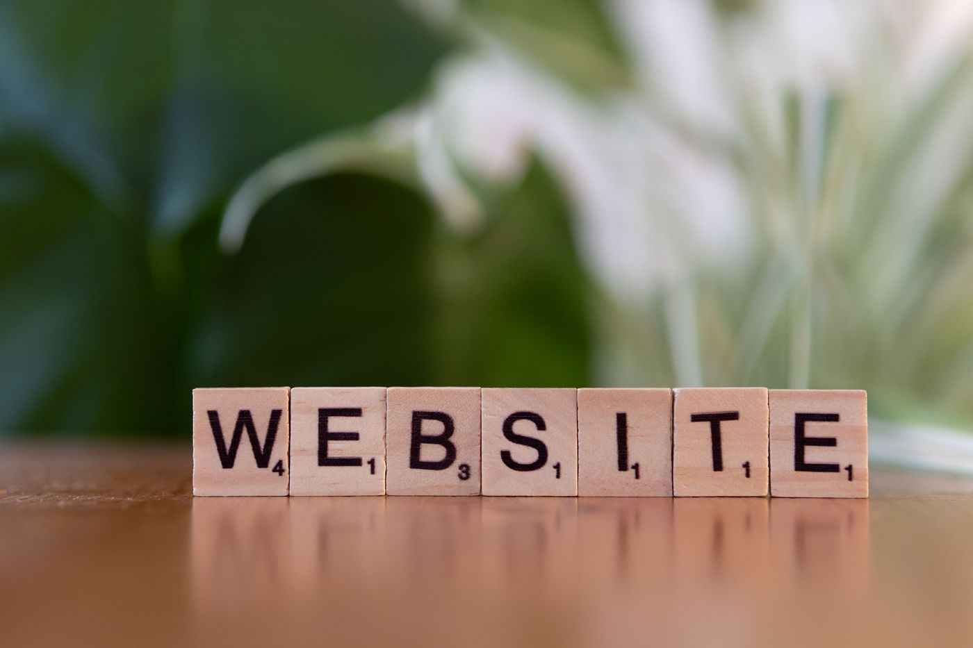 SEO services service by NOVIGEEKS, a website design company in Karad